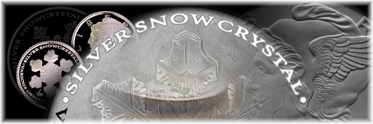 Silver Snow Crystal Logo Banner